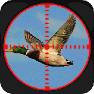 鸭子狩猎3D 1.2 安卓版