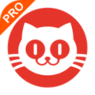 猫眼专业版实时票房app 6.2.4 安卓版